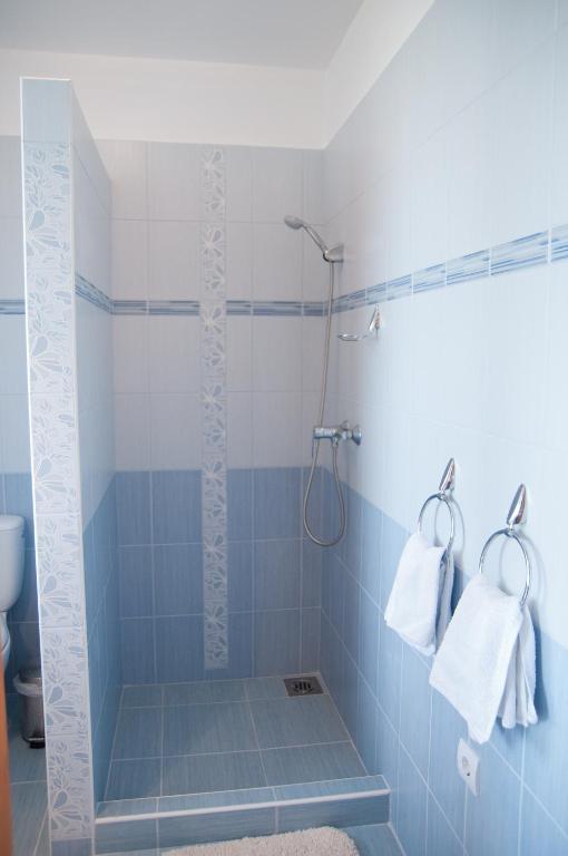 Deluxe Apartments Hévíz 객실 사진